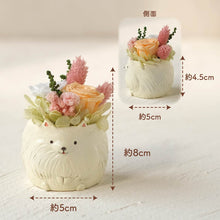 画像をギャラリービューアに読み込む, 小さな家族 ポメラニアン ホワイト