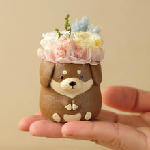 画像をギャラリービューアに読み込む, 小さな家族 ダックス チョコ&タン