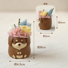 画像をギャラリービューアに読み込む, 小さな家族 ダックス チョコ&タン