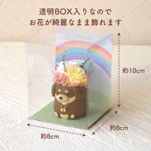 画像をギャラリービューアに読み込む, 小さな家族 ダックス チョコ&タン