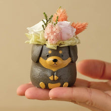 画像をギャラリービューアに読み込む, 小さな家族 ダックス ブラック&タン