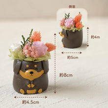 画像をギャラリービューアに読み込む, 小さな家族 ダックス ブラック&タン