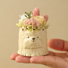 画像をギャラリービューアに読み込む, 小さな家族 ヨークシャーテリア ゴールド