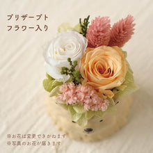 画像をギャラリービューアに読み込む, 小さな家族 ヨークシャーテリア ゴールド