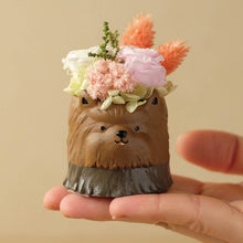 画像をギャラリービューアに読み込む, 小さな家族 ヨークシャーテリア ブラック&タン