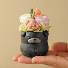 画像をギャラリービューアに読み込む, 小さな家族 パグ クロ