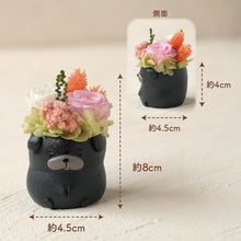 画像をギャラリービューアに読み込む, 小さな家族 パグ クロ