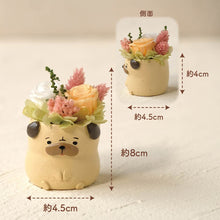 画像をギャラリービューアに読み込む, 小さな家族 パグ フォーン