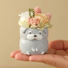 画像をギャラリービューアに読み込む, 小さな家族 シュナウザー ソルト&ペッパー 薄