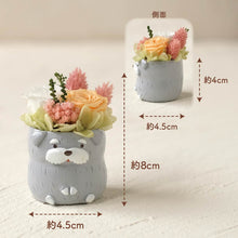 画像をギャラリービューアに読み込む, 小さな家族 シュナウザー ソルト&ペッパー 薄