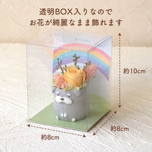 画像をギャラリービューアに読み込む, 小さな家族 シュナウザー ソルト&ペッパー 薄