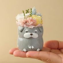 画像をギャラリービューアに読み込む, 小さな家族 シュナウザー ソルト&ペッパー 濃