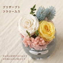 画像をギャラリービューアに読み込む, 小さな家族 シュナウザー ソルト&ペッパー 濃