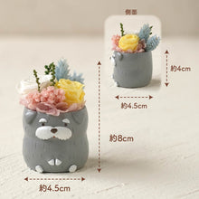 画像をギャラリービューアに読み込む, 小さな家族 シュナウザー ソルト&ペッパー 濃