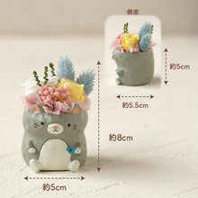 画像をギャラリービューアに読み込む, 小さな家族 ねこ グレー