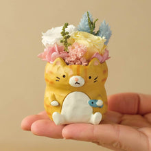 画像をギャラリービューアに読み込む, 小さな家族 ねこ 茶トラ