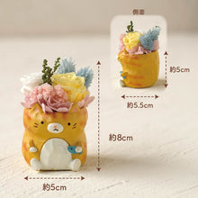 画像をギャラリービューアに読み込む, 小さな家族 ねこ 茶トラ