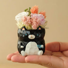 画像をギャラリービューアに読み込む, 小さな家族 ねこ くろ