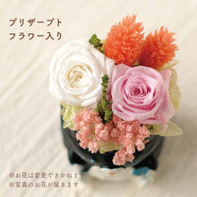 画像をギャラリービューアに読み込む, 小さな家族 ねこ くろ