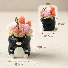 画像をギャラリービューアに読み込む, 小さな家族 ねこ くろ