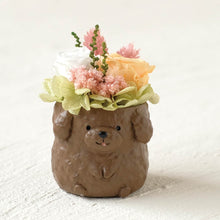 画像をギャラリービューアに読み込む, 小さな家族 トイプードル ブラウン