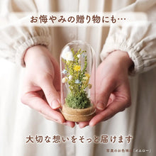 画像をギャラリービューアに読み込む, コルクフラワーガラスドーム　【あの子の庭 ー 小径】NEW！
