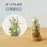 ブルー
