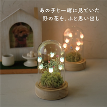 画像をギャラリービューアに読み込む, LEDフラワーガラスドーム　【あの子の庭 ー 野の花】
