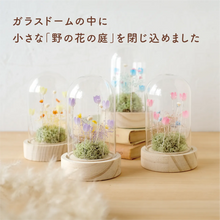 画像をギャラリービューアに読み込む, LEDフラワーガラスドーム　【あの子の庭 ー 野の花】

