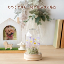 画像をギャラリービューアに読み込む, LEDフラワーガラスドーム　【あの子の庭 ー 野の花】
