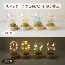 画像をギャラリービューアに読み込む, LEDフラワーガラスドーム　【あの子の庭 ー 野の花】
