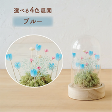 画像をギャラリービューアに読み込む, LEDフラワーガラスドーム　【あの子の庭 ー 野の花】
