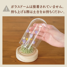 画像をギャラリービューアに読み込む, LEDフラワーガラスドーム　【あの子の庭 ー 野の花】
