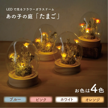 画像をギャラリービューアに読み込む, LEDフラワーガラスドーム　【あの子の庭 ー たまご】NEW！
