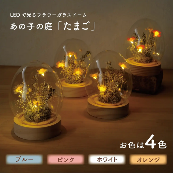LEDフラワーガラスドーム　【あの子の庭 ー たまご】