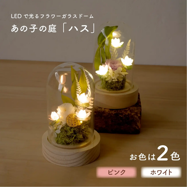 LEDフラワーガラスドーム　【あの子の庭 ー ハス】