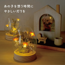 画像をギャラリービューアに読み込む, LEDフラワーガラスドーム　【あの子の庭 ー たまご】NEW！
