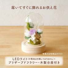 画像をギャラリービューアに読み込む, LEDフラワーガラスドーム　【あの子の庭 ー ハス】NEW！
