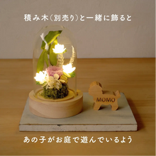 画像をギャラリービューアに読み込む, LEDフラワーガラスドーム　【あの子の庭 ー ハス】NEW！
