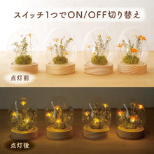 画像をギャラリービューアに読み込む, LEDフラワーガラスドーム　【あの子の庭 ー たまご】NEW！

