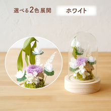 画像をギャラリービューアに読み込む, LEDフラワーガラスドーム　【あの子の庭 ー ハス】NEW！
