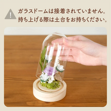 画像をギャラリービューアに読み込む, LEDフラワーガラスドーム　【あの子の庭 ー ハス】NEW！
