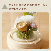 画像をギャラリービューアに読み込む, LEDフラワーガラスドーム　【あの子の庭 ー ハス】NEW！
