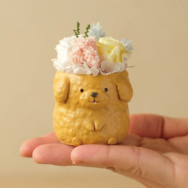 小さな家族　トイプードル　アプリコット