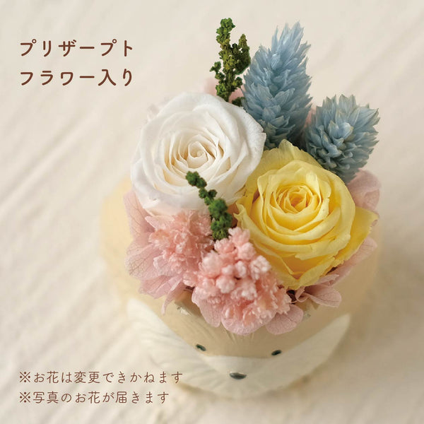 小さな家族　ポメラニアン　クリーム