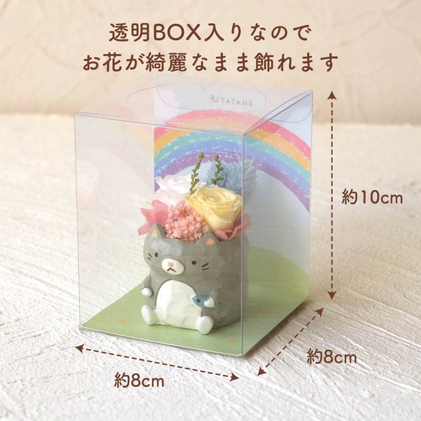 小さな家族　ねこ　グレー