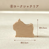 ⑧ヨークシャテリア